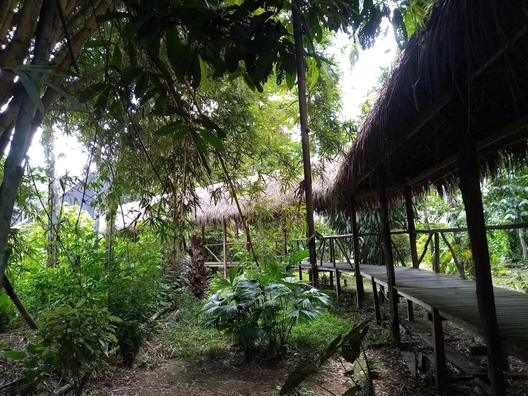 Inotawa Lodge Tambopata المظهر الخارجي الصورة