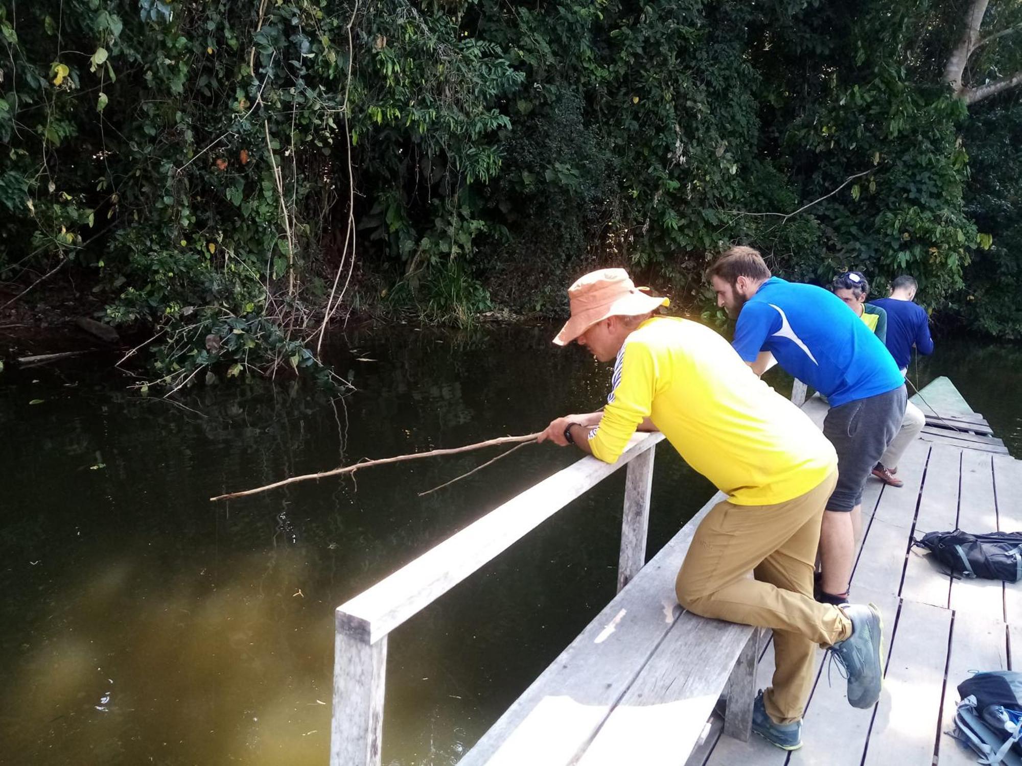 Inotawa Lodge Tambopata المظهر الخارجي الصورة
